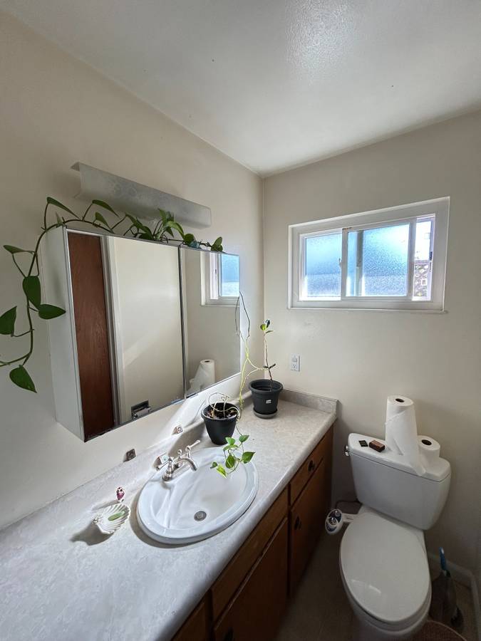 Before: bathroom with plants and clutter